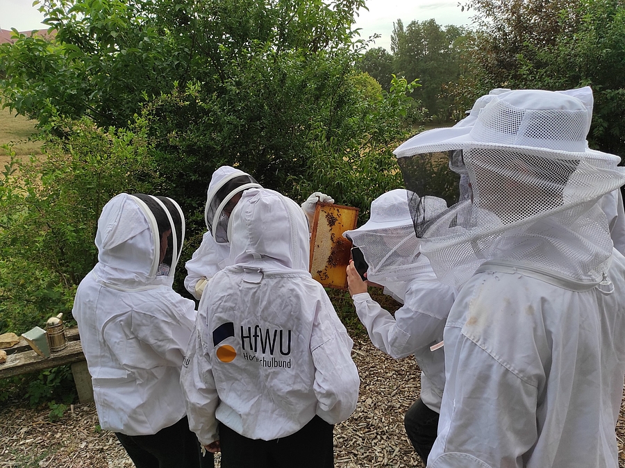 Schüler*innen in Imkerschleiern betrachten Bienen aus nächster Nähe