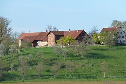 Hofgut Tachenhausen
