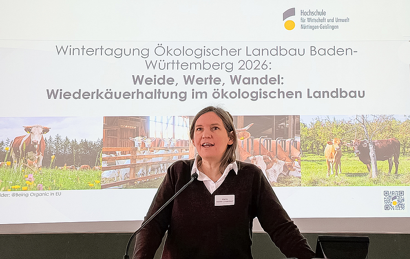 Einzelperson vor Präsentation