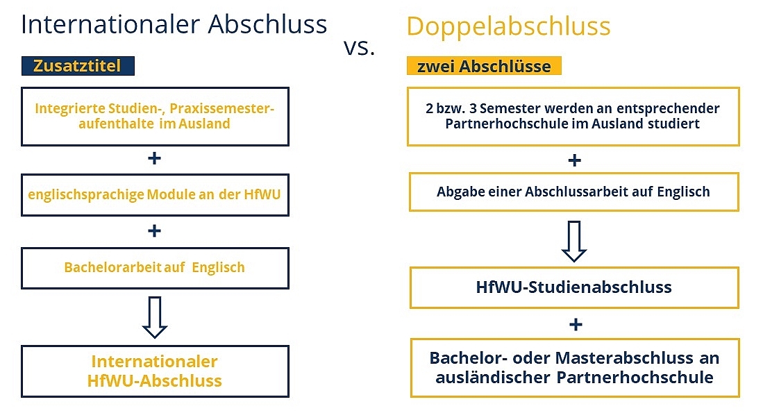 Internationaler vs. Doppelabschluss