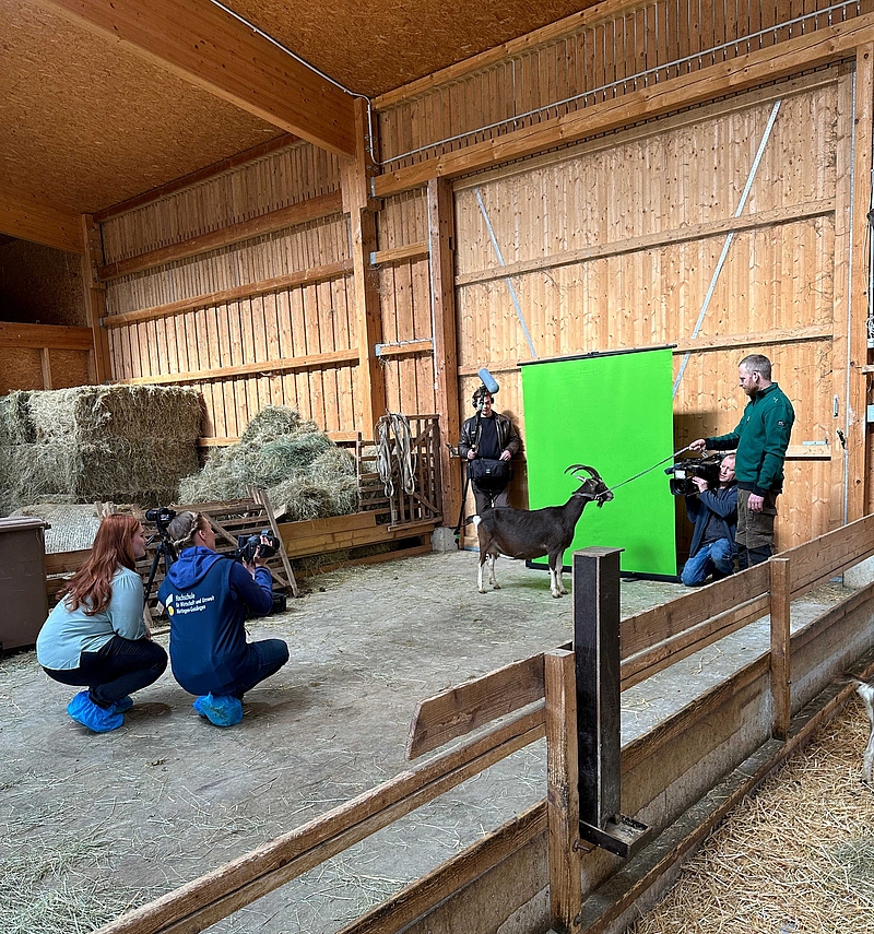 Das Kamerateam, Landwirt Holzer und die Forscherinnen Maren Bernau und Lara Handel während der Dreharbeiten im Stall.