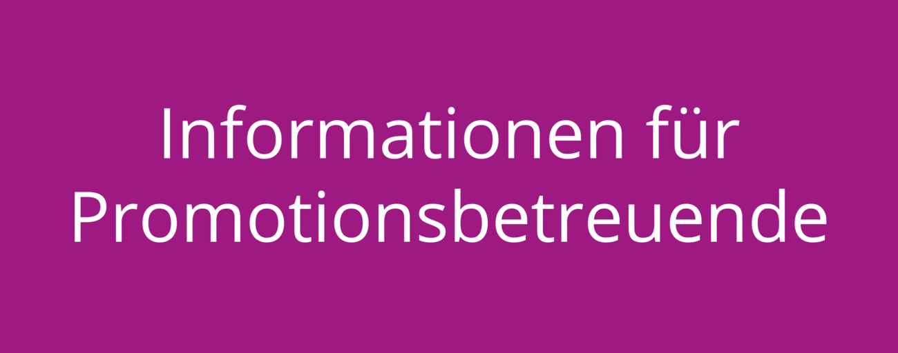 Informationen für Promotionsbetreuende