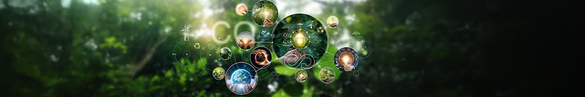 Nachhaltiges Management: Klimaschutz, Kreislaufwirtschaft, SDCs, Mobilitätswende, Transformation, Gemeinwohl