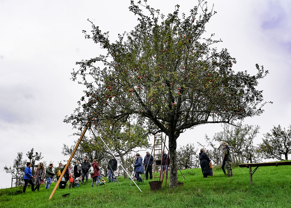 Apfelbaum mit Eltern und Kindern