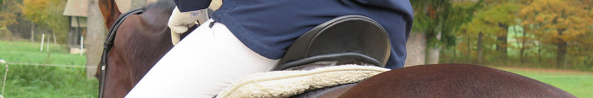 Das Bild zeigt eine Nahaufnahme einer Person, die auf einem Pferd reitet. Die Reiterin oder der Reiter trägt eine weiße Hose und eine dunkelblaue Jacke. Der Sattel ist gut sichtbar und mit einer Polsterung unterlegt. Im Hintergrund erkennt man grüne Wiese, Bäume mit herbstlich gefärbtem Laub und einen Teil eines Gebäudes.