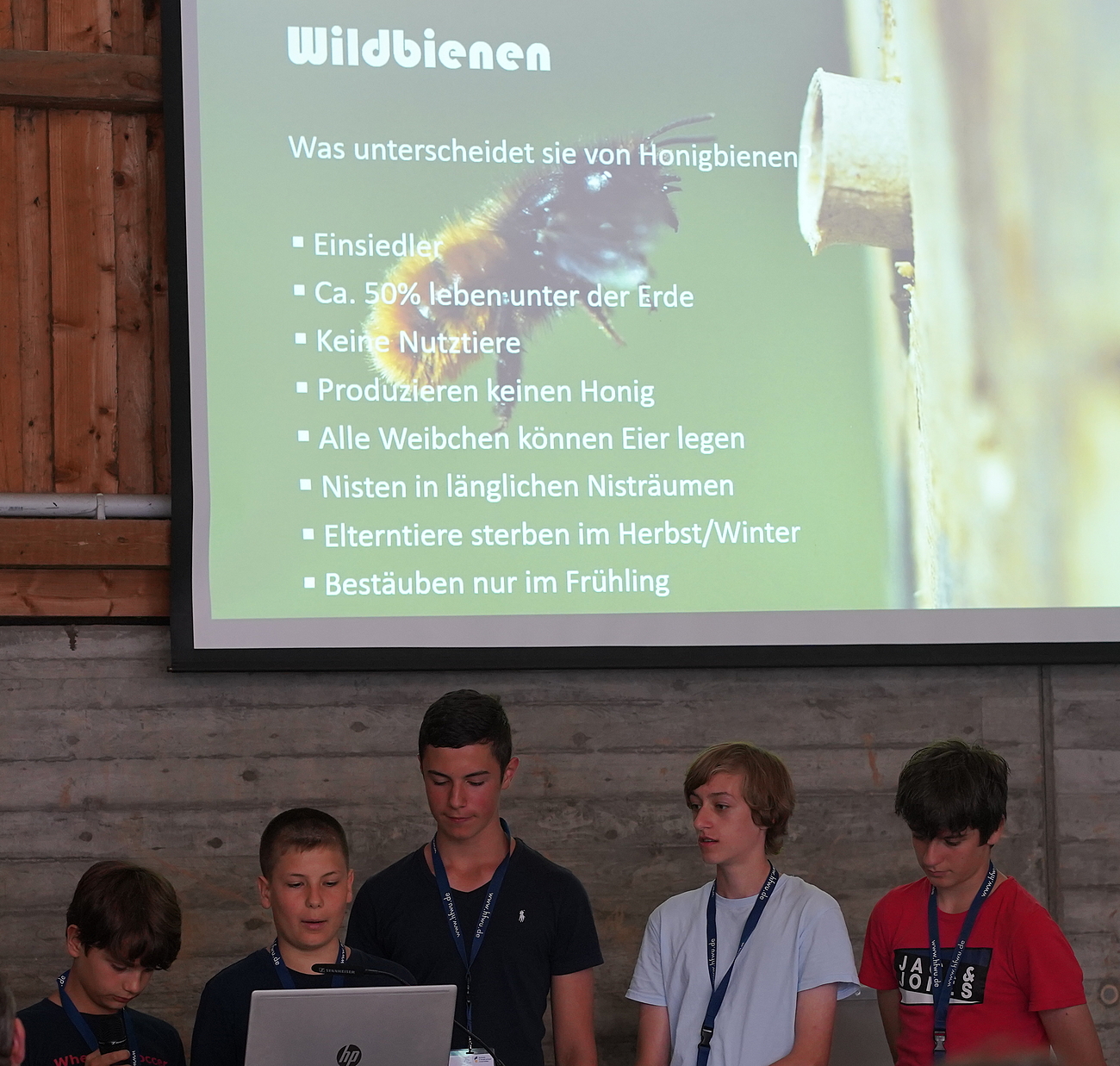 5 präsentierende Schüler vor Leinwand