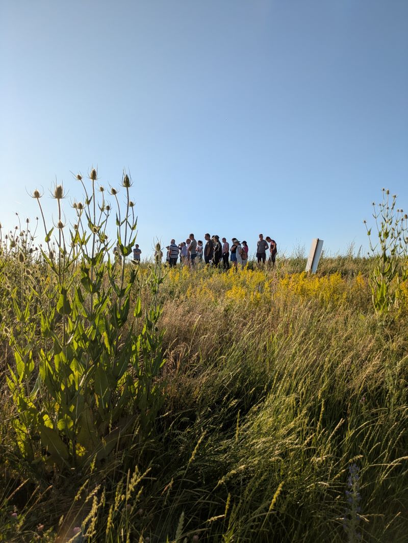 Teilnehmende des Feldtags bei der Begehung