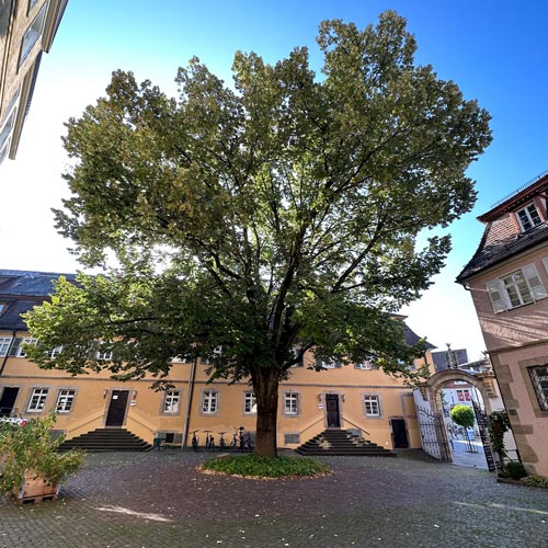 Innnenhof Nürtingen Innenhof